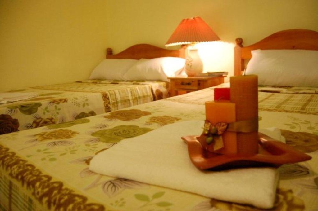 Balayong Pension Puerto Princesa Oda fotoğraf